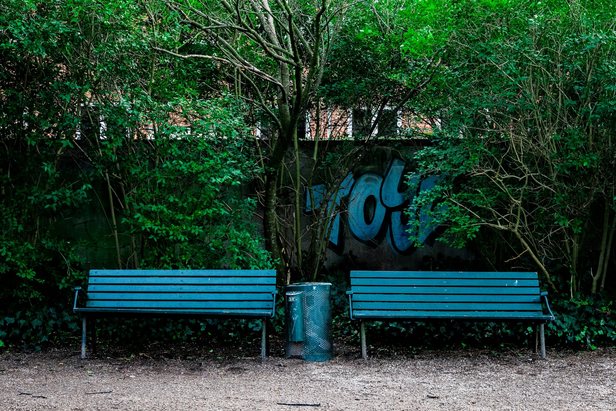 The Green Path: How Locals Cross the City