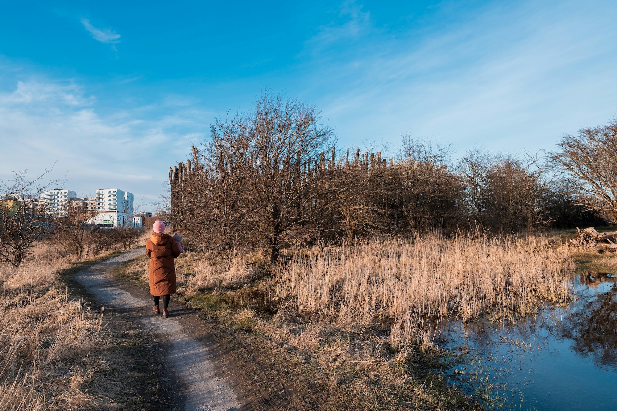 Wild Amager: From City to Shore
